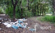 Parcul Verdi - alergare in Bucuresti | faSport.ro