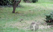 Parcul Verdi - alergare in Bucuresti | faSport.ro