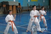 CS Karate Risei - arte-martiale in Iasi | faSport.ro