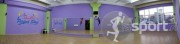 Perfect Show - dans-sportiv in Bucuresti | faSport.ro