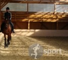 Echitatie Napoca Sport Horse - echitatie in Cluj-Napoca | faSport.ro