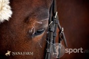 NanaFarm - echitatie in Popesti-Leordeni | faSport.ro