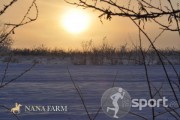 NanaFarm - echitatie in Popesti-Leordeni | faSport.ro