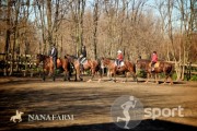 NanaFarm - echitatie in Popesti-Leordeni | faSport.ro