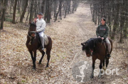 Calararie  Judetul Bihor - echitatie in Vadu-Crisului | faSport.ro