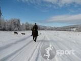 Centrul de echitatie Diana - echitatie in Rasnov | faSport.ro