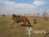 Herghelia Tulucesti - echitatie in Galati | faSport.ro