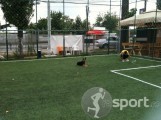 Teren sintetic Ina - fotbal in Bucuresti | faSport.ro