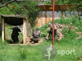 City Paintball - paintball in Bucuresti | faSport.ro