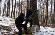 Nexus Paintball Sibiu - paintball in Sibiu | faSport.ro